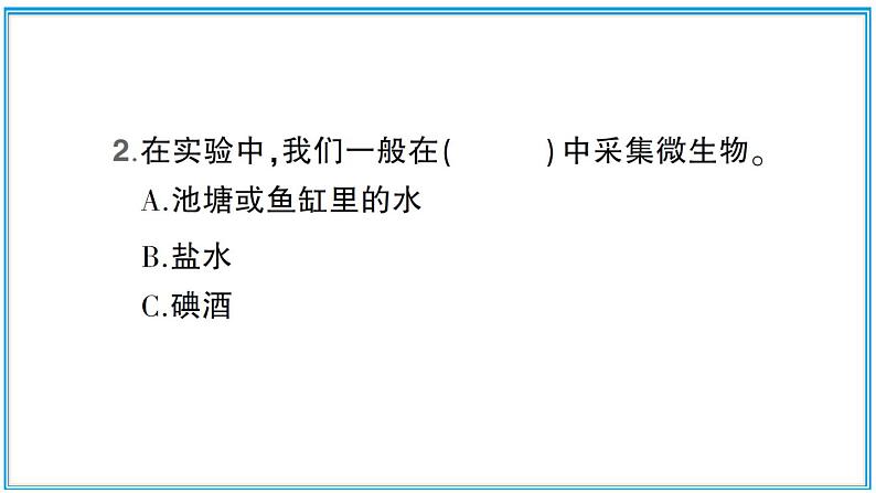 观察水中微小的生物PPT课件免费下载08