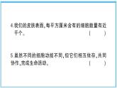 观察更多的生物细胞PPT课件免费下载