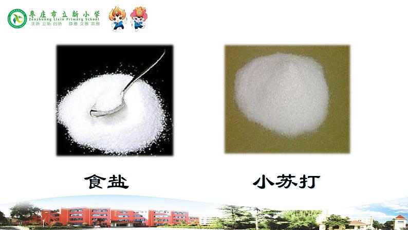 新青岛版科学三年级下册 5 谁在水中溶解得多 课件PPT第8页