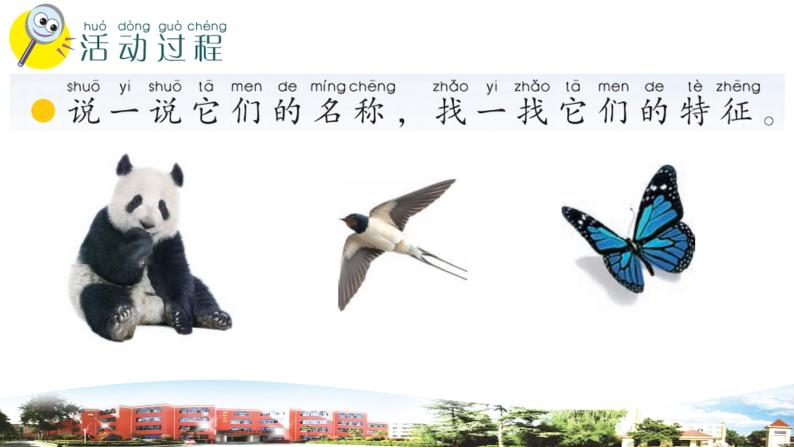 新青岛版科学六三制一年级下册 4 常见的动物 课件PPT03