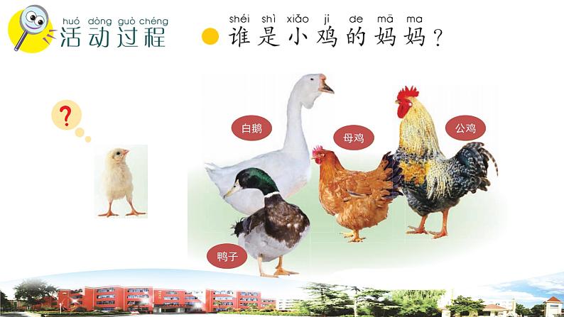 新青岛版科学六三制一年级下册 7 小动物找妈妈 课件PPT03