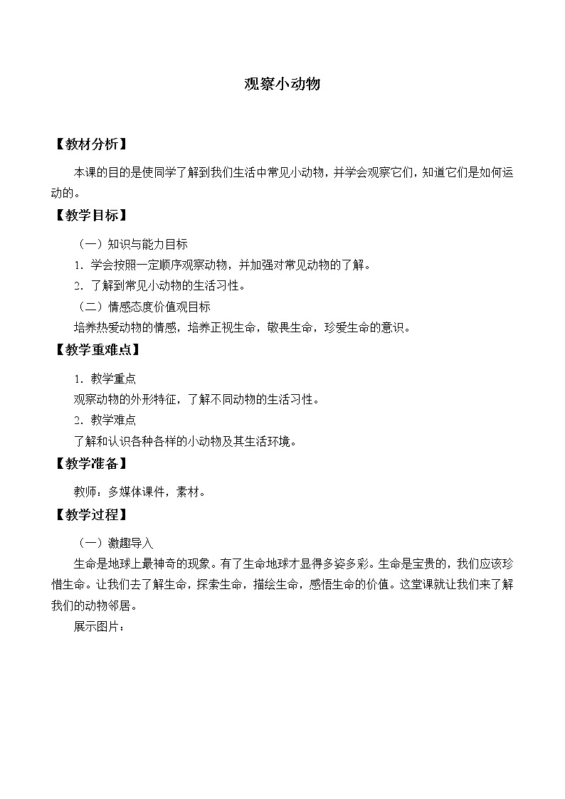 新粤教粤科版科学一下 4.13 观察小动物 PPT课件+教案01