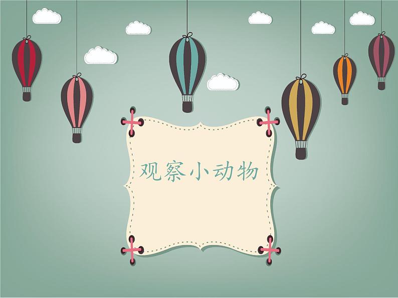 新粤教粤科版科学一下 4.13 观察小动物 PPT课件+教案01