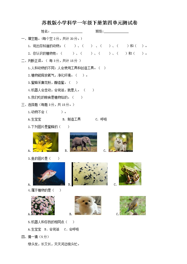 新苏教版小学科学一年级下册 第四单元 动物与植物 测试卷 (含答案)01