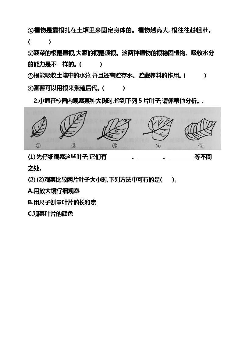 湘科版三年级下册科学 第四单元 植物的秘密练习题(含答案)第3页