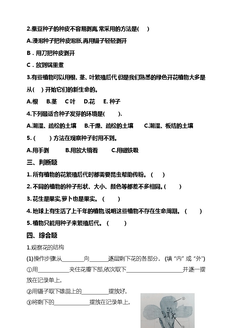 湘科版三年级下册科学 第五单元 植物的一生练习题(含答案)02