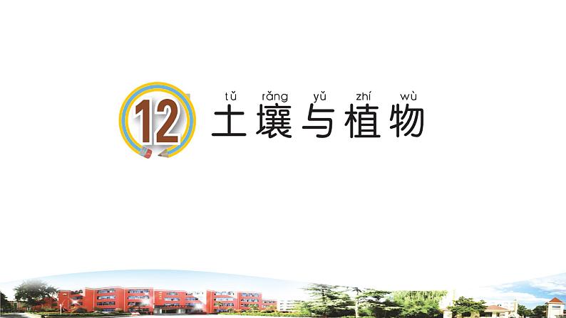 新青岛版科学六三制一年级下册12 土壤与植物 课件PPT01