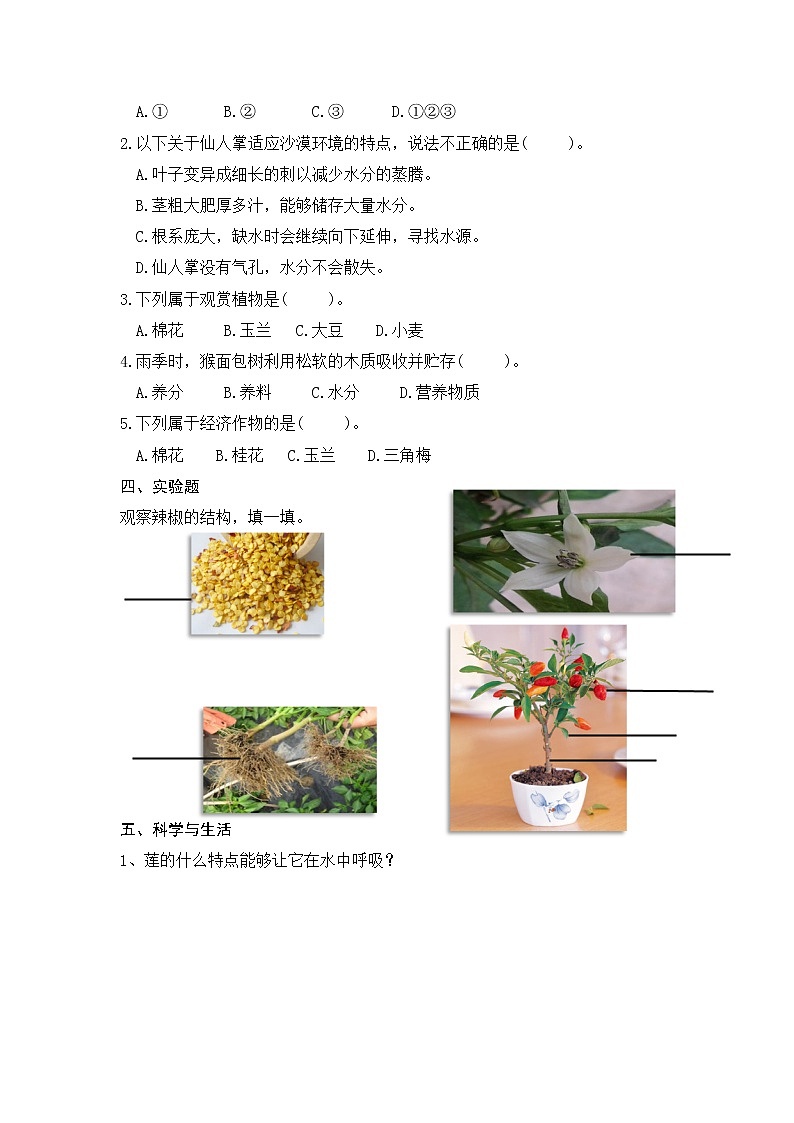 新青岛版（2017版）科学四下 第四单元《植物的生长》单元自测题（含答案）02