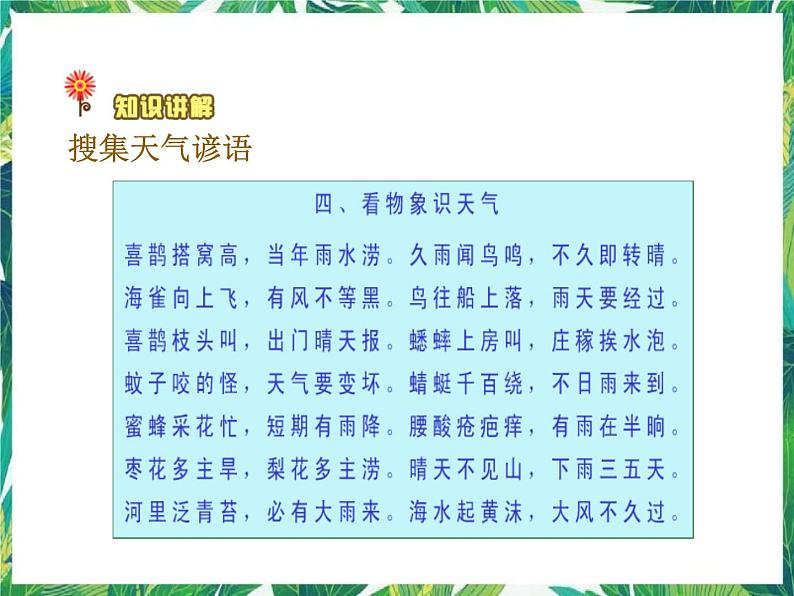 2.5怎样预报天气 课件+教案07