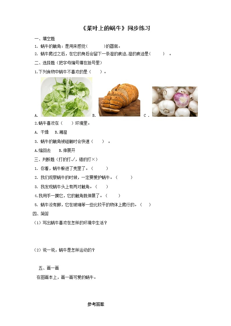 粤教粤科版二年级下册科学1.1菜叶上的蜗牛同步练习（有答案）01