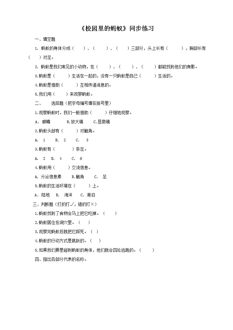 粤教粤科版二年级下册科学1.2 校园里的蚂蚁同步练习（有答案）01
