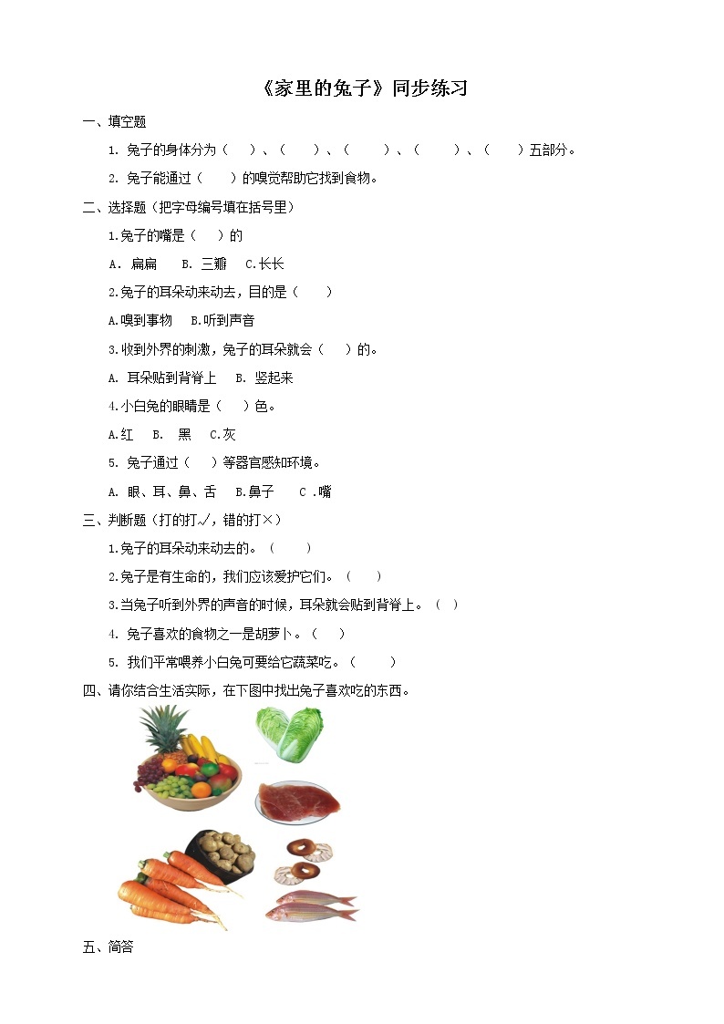 粤教粤科版二年级下册科学1.4家里的兔子同步练习（有答案）01