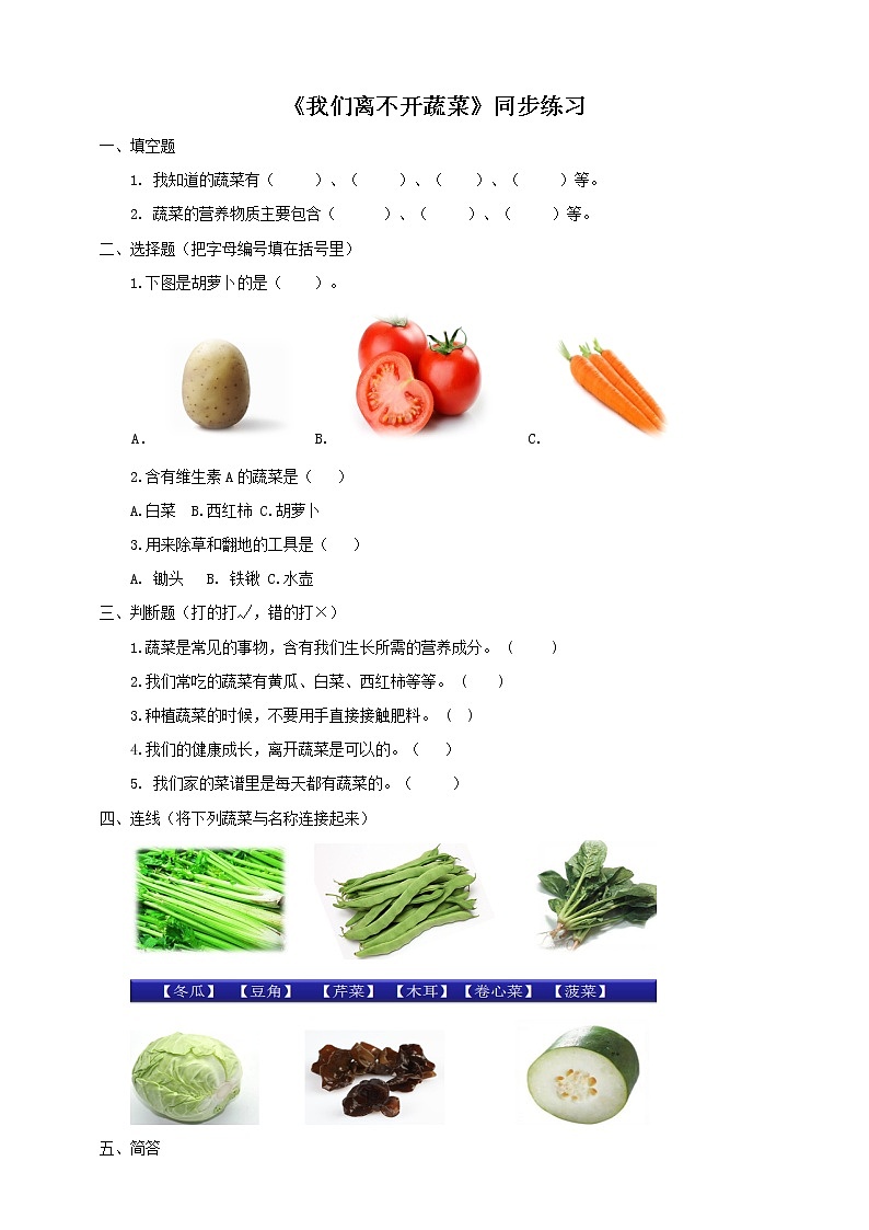粤教粤科版二年级下册科学2.5我们离不开蔬菜同步练习（有答案）01