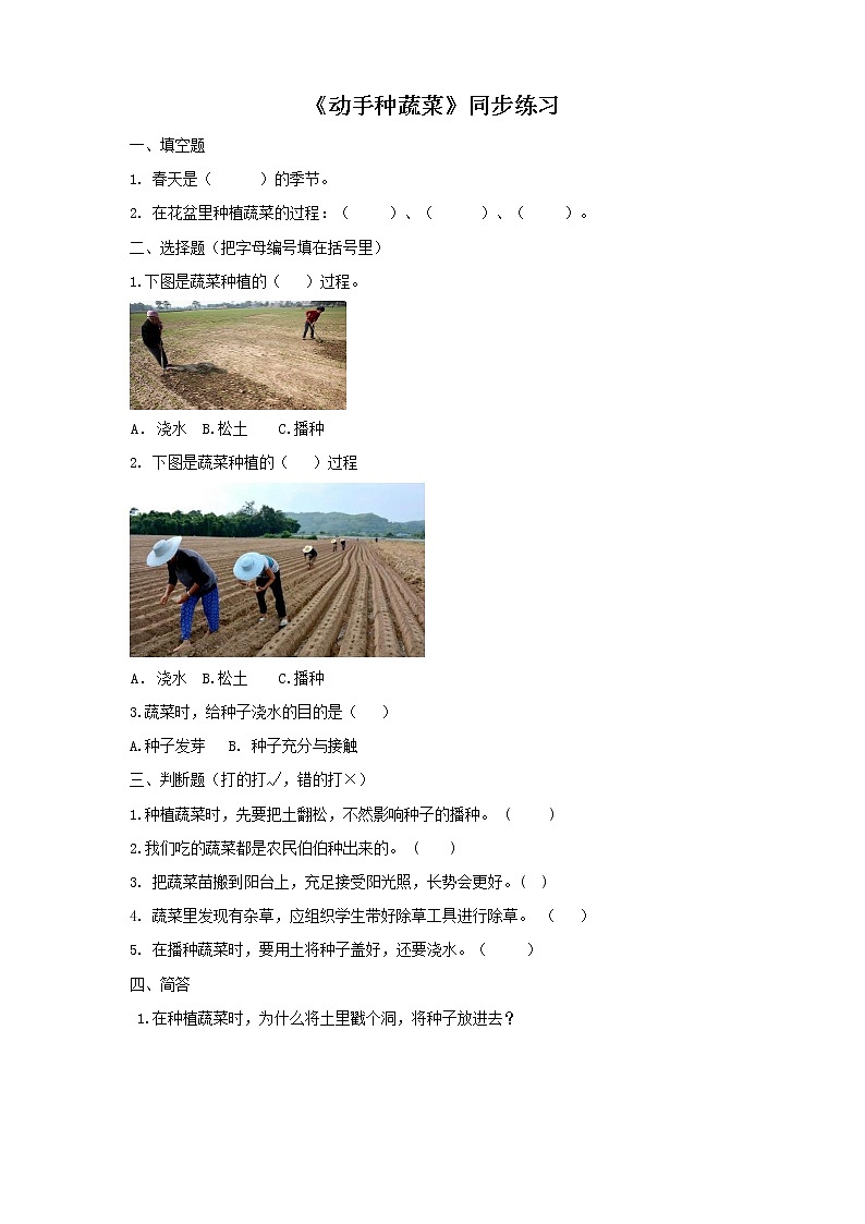 粤教粤科版二年级下册科学2.6动手种蔬菜同步练习（有答案）01