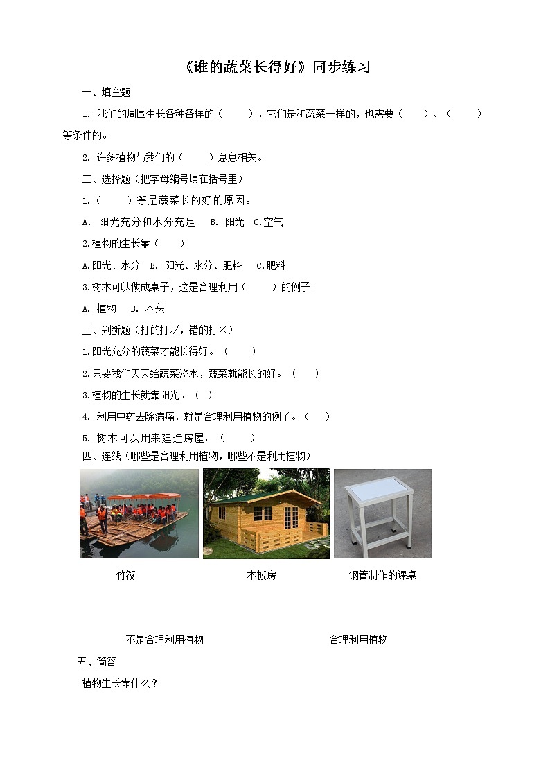 粤教粤科版二年级下册科学2.7 谁的蔬菜长得好同步练习（有答案）01