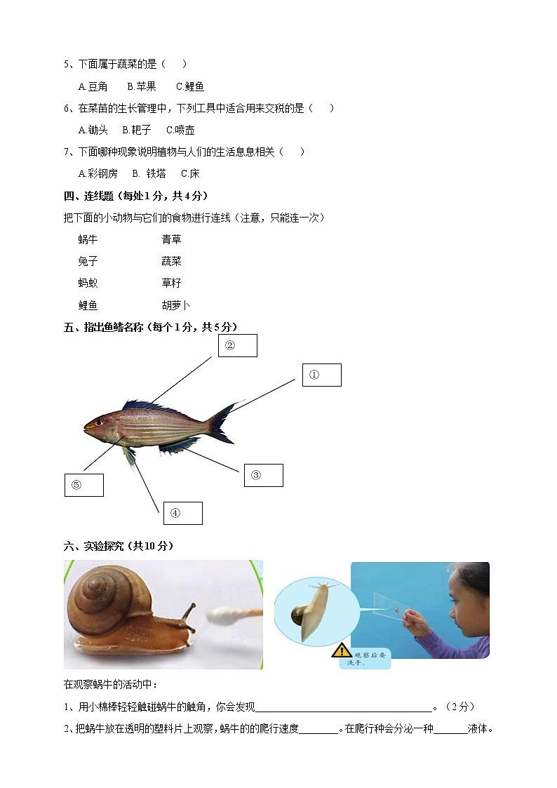 （2017版）粤教粤科版科学二年级下册 期中测试卷（含答案）02