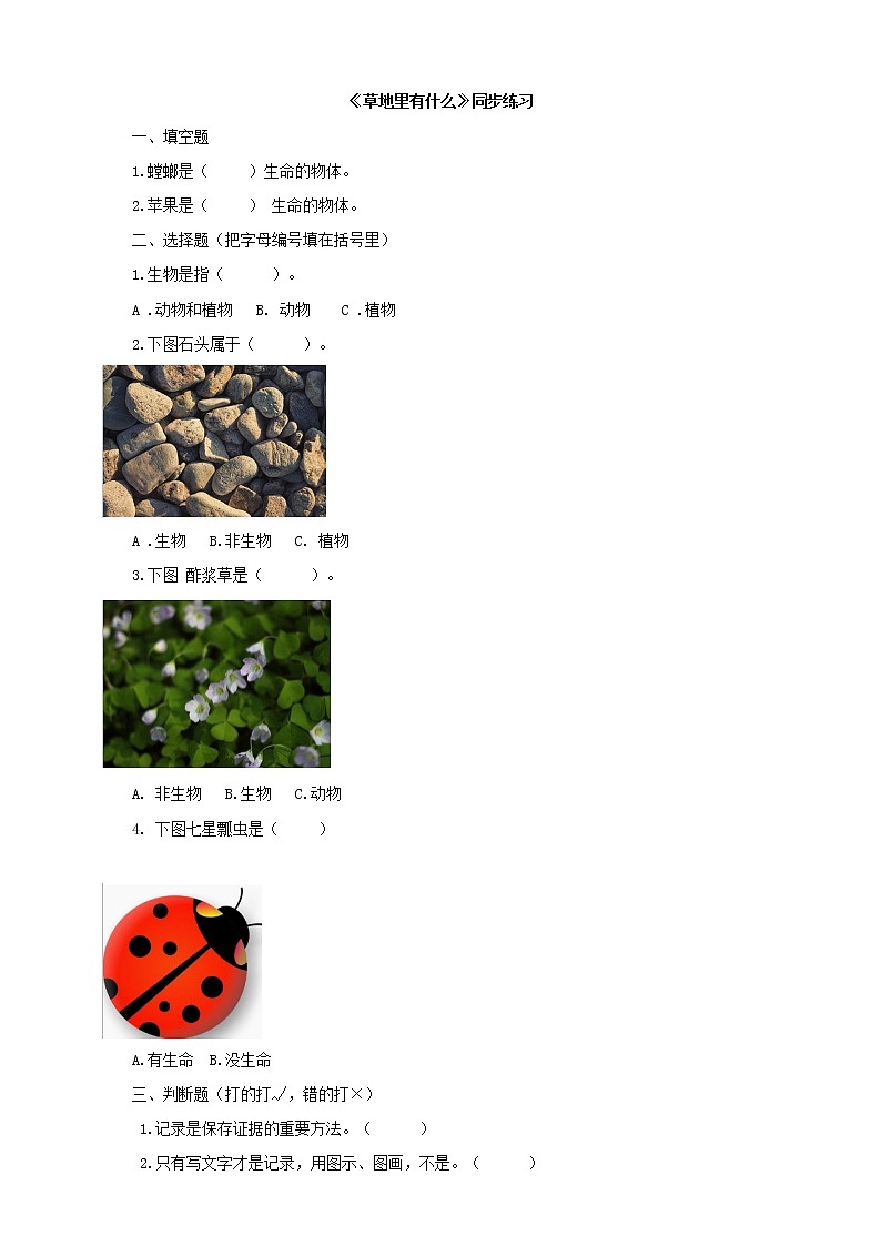 粤教粤科版科学一下 4.11草地里有什么 同步练习（含答案）01