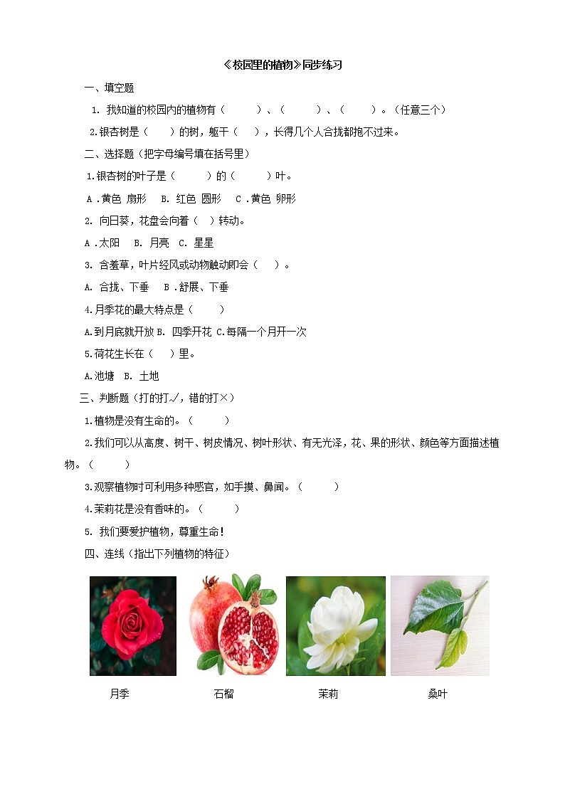 粤教粤科版科学一下 4.14 校园里的植物 同步练习（含答案）第1页