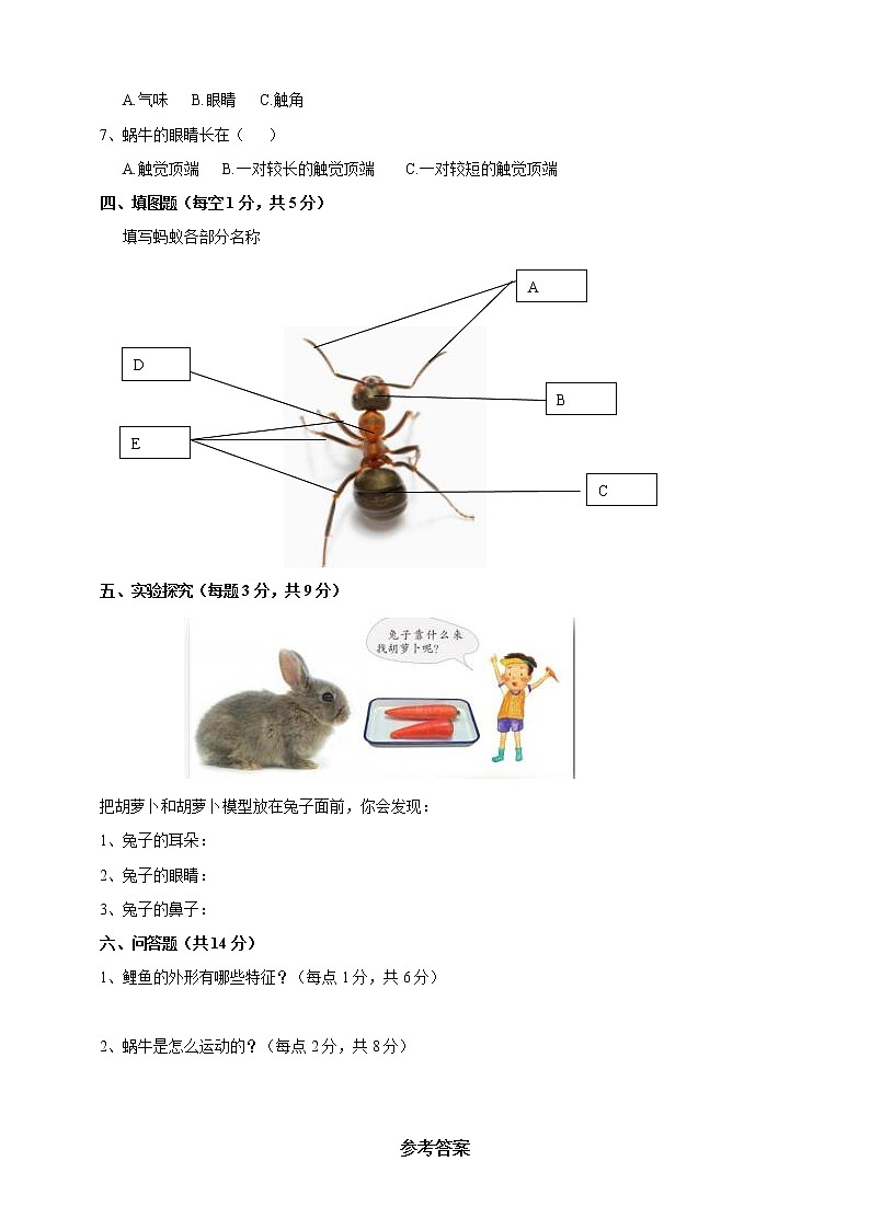科学粤教粤科版二年级下册 第一单元 身边的动物 测试题（含答案）第2页