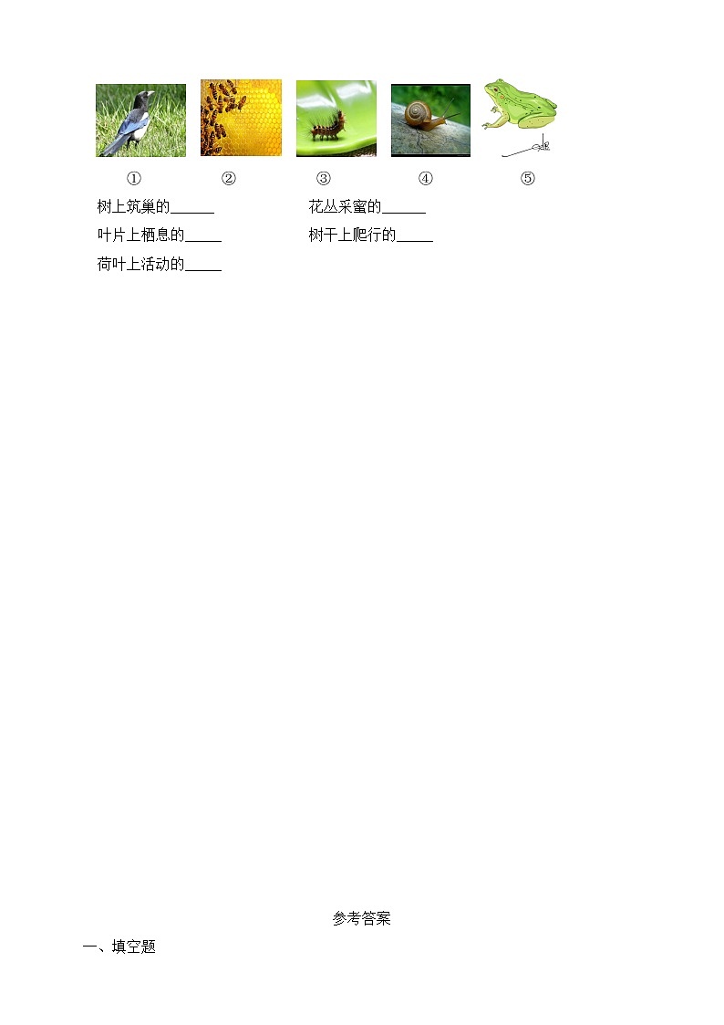 粤教粤教科版科学一下 第4单元 校园里的生物 单元测试卷（含答案）第2页