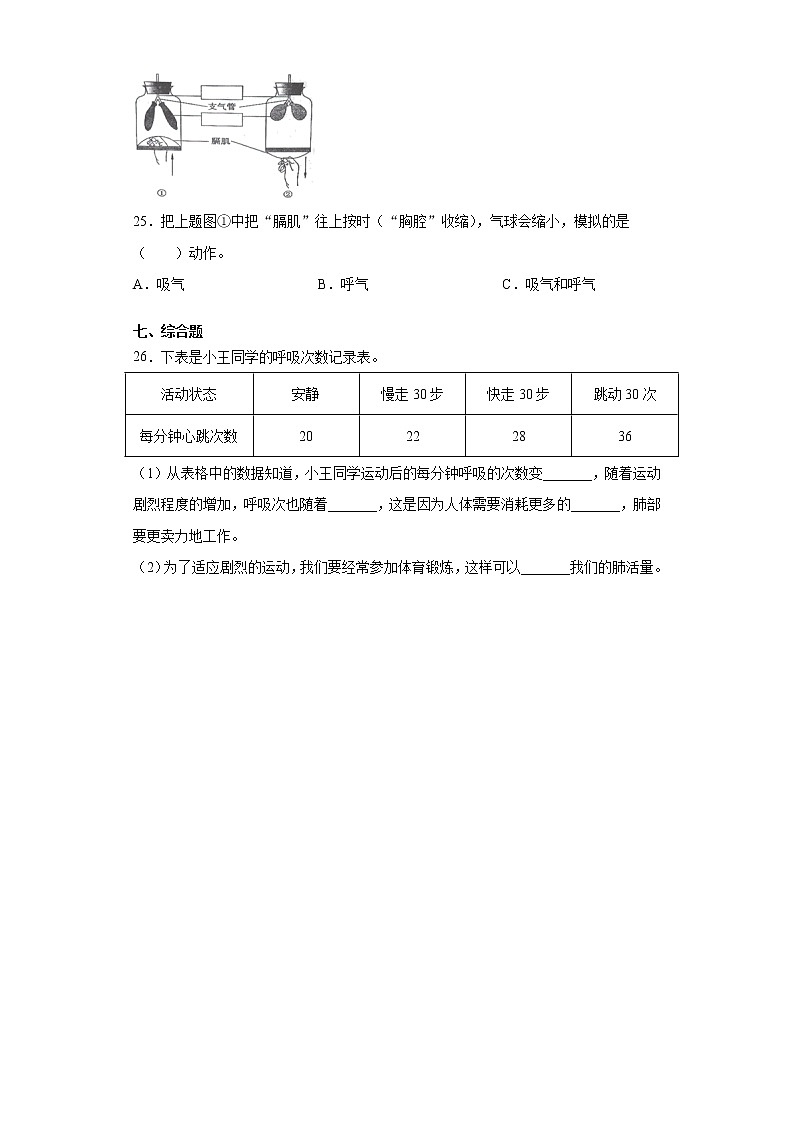 教科版（2017秋）四年级科学上册第二单元达标检测题（呼吸与消化）（含答案）第3页