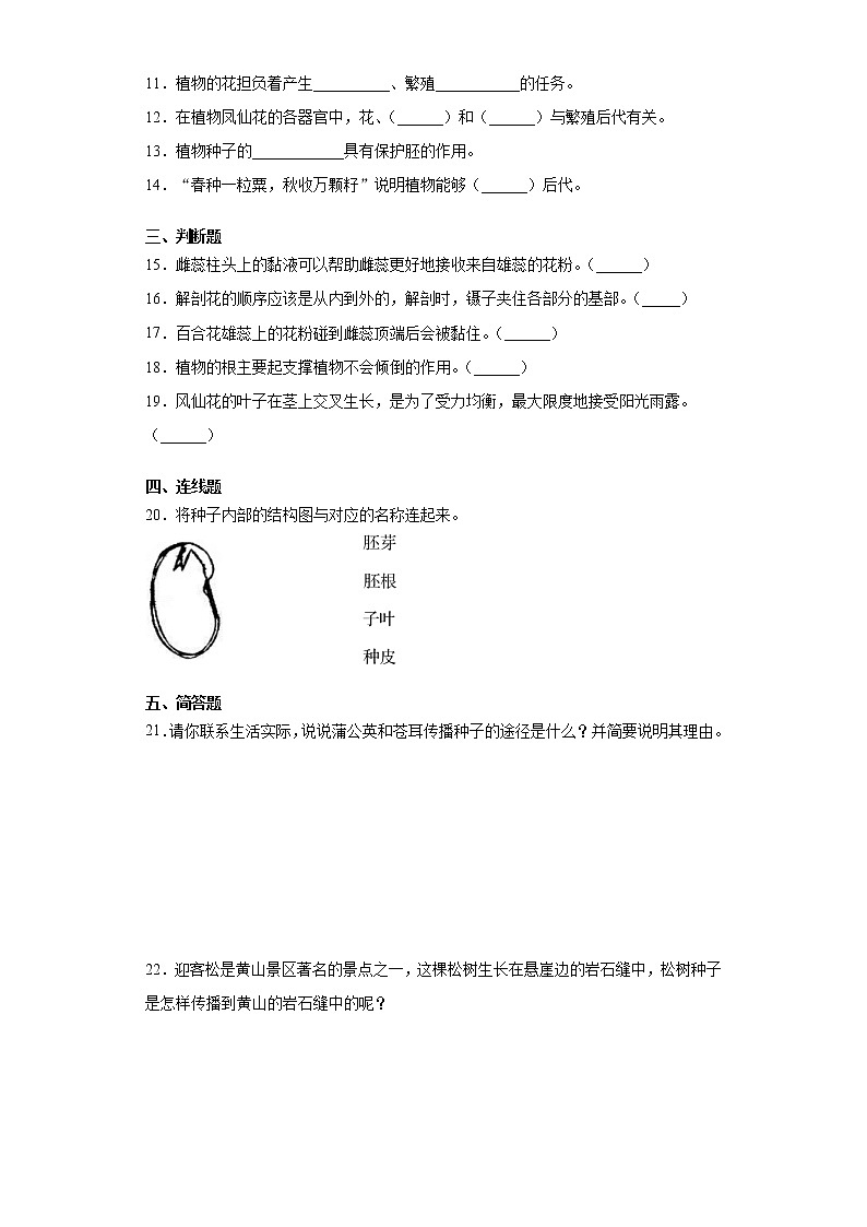 教科版（2017秋）四年级科学下册第一单元达标测试卷（植物的生长变化）（含答案）第2页
