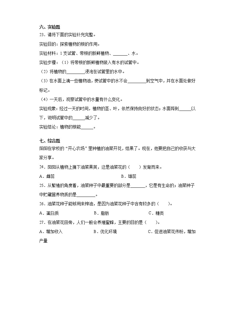 教科版（2017秋）四年级科学下册第一单元达标测试卷（植物的生长变化）（含答案）第3页