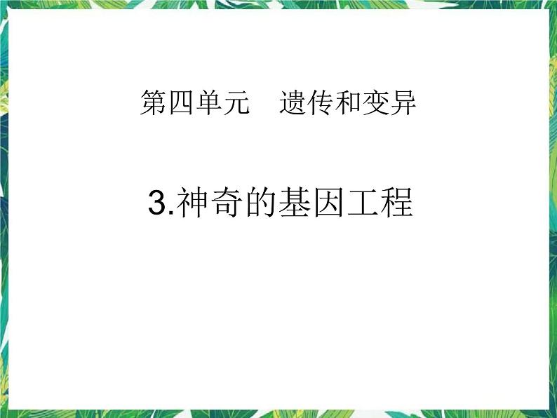 五年级下册科学课件－4.3神奇的基因工程 湘教版第1页