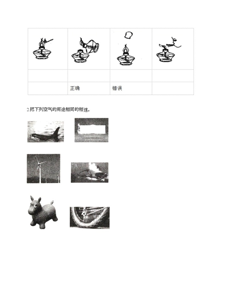 教科版三年级上册科学期末测试卷及答案 (12)第3页