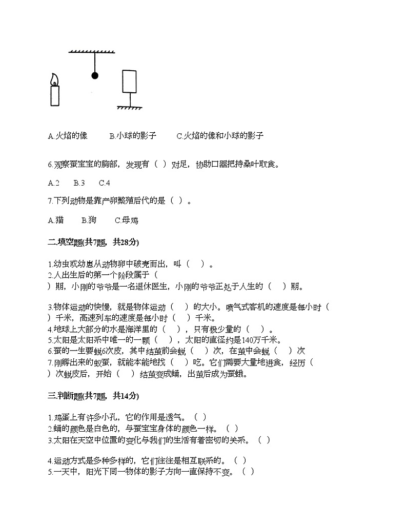 教科版三年级下册科学期末测试卷及答案 (4)第2页