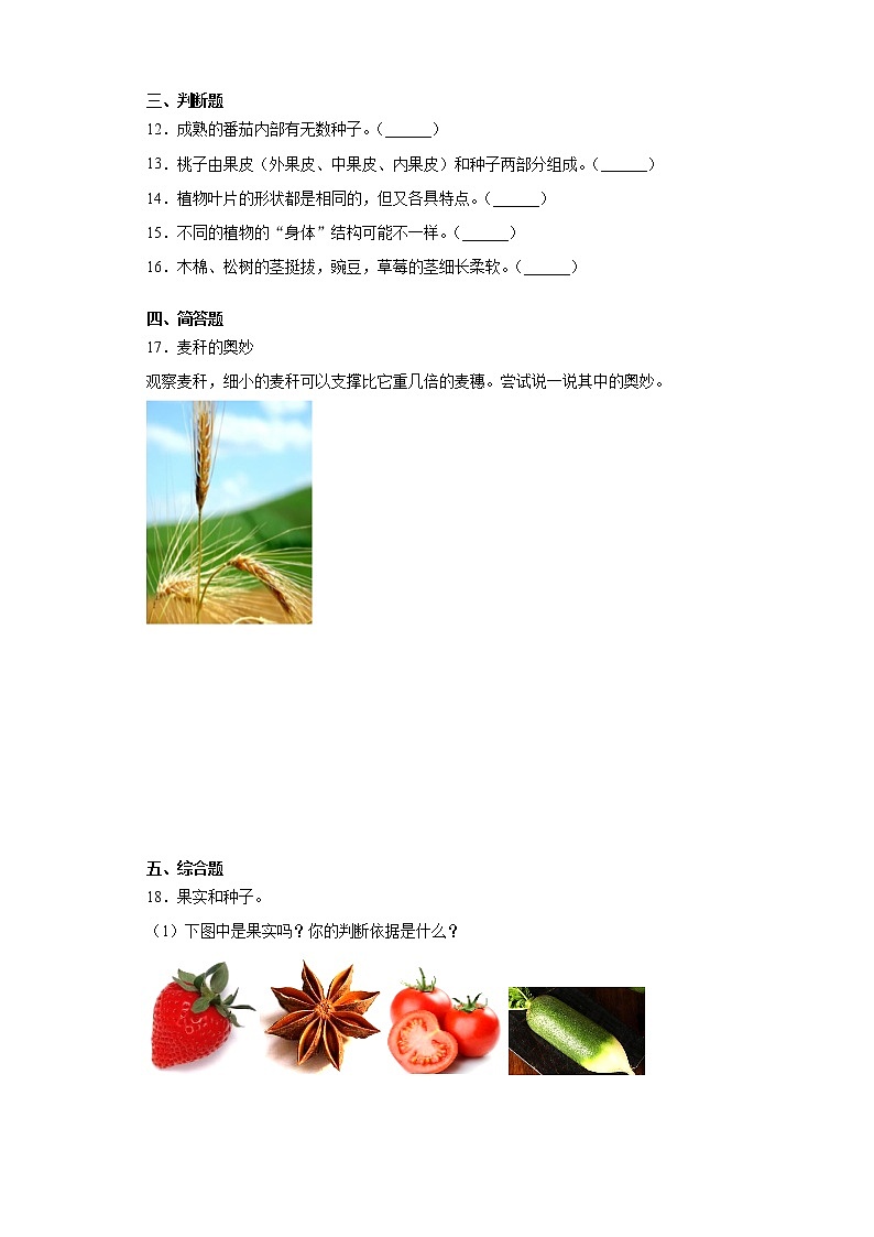粤教版三年级科学下册第三单元植物的身体检测题（含答案）第2页