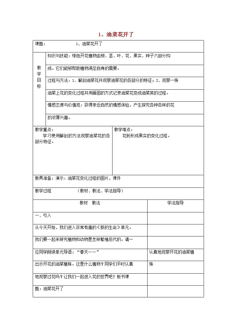 小学四年级科学下册2.1油菜花开了教案教科版01
