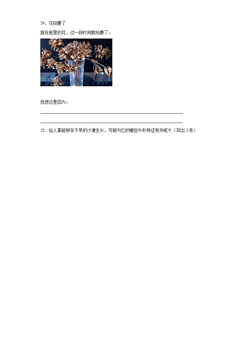 粤教版五年级科学上册第一单元植物的需求检测卷（含答案）03