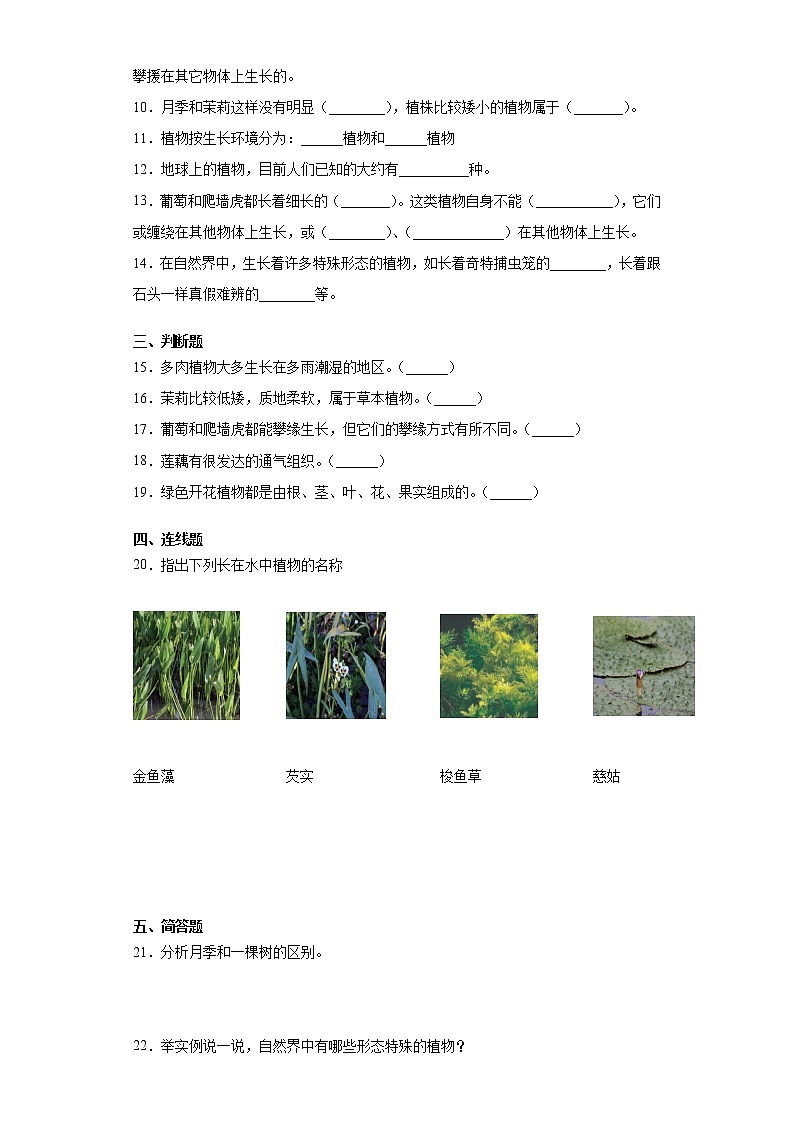 粤教版四年级科学下册第一单元植物大观园检测卷（含答案）02