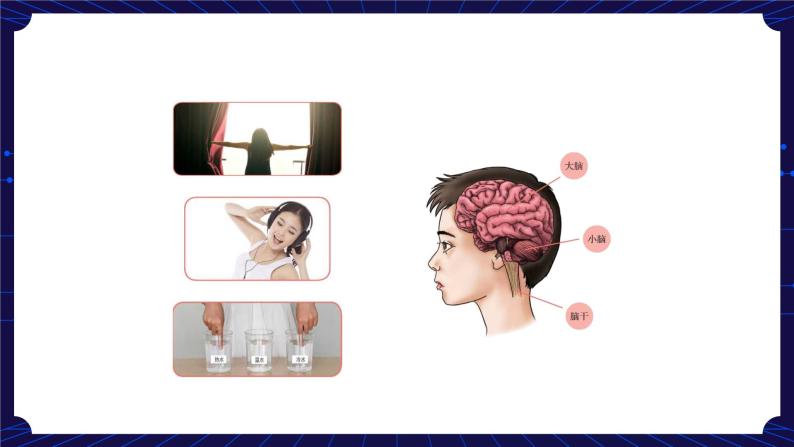 10. 新鄂教人教版科学五下 10 保护我们的身体 课件PPT+教案+视频02