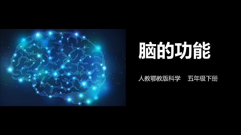 9. 新鄂教人教版科学五下 9 脑的功能 课件PPT+教案+视频01