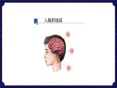 9. 新鄂教人教版科学五下 9 脑的功能 课件PPT+教案+视频