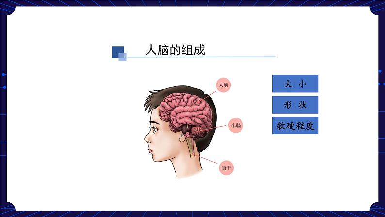 9. 新鄂教人教版科学五下 9 脑的功能 课件PPT+教案+视频06