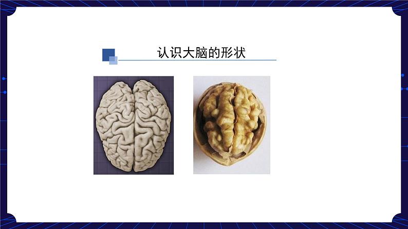 9. 新鄂教人教版科学五下 9 脑的功能 课件PPT+教案+视频08