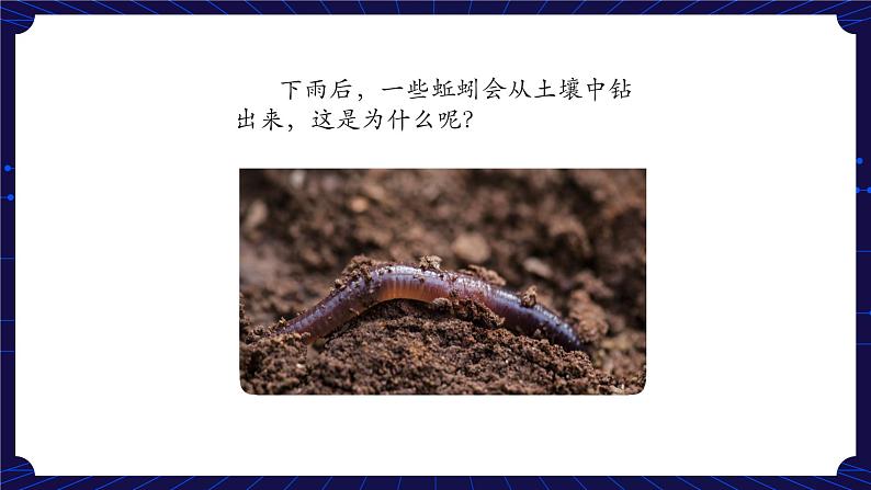 新人教鄂教版科学六下 2 动物对环境的适应 PPT课件+教案+视频03