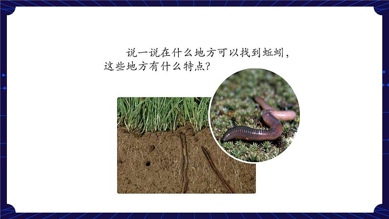 新人教鄂教版科学六下 2 动物对环境的适应 PPT课件+教案+视频05