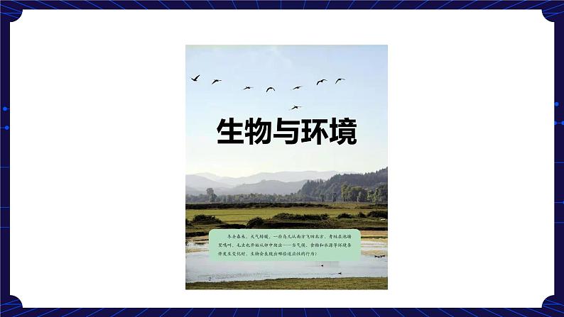 新人教鄂教版科学六下 1 生物的栖息地 PPT课件+教案（第一课时)07