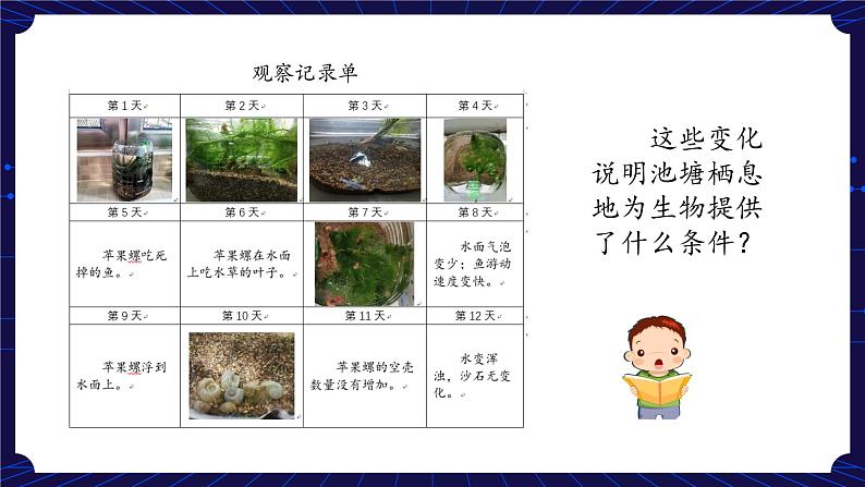 新人教鄂教版科学六下 1 生物的栖息地 PPT课件+教案（第二课时)08