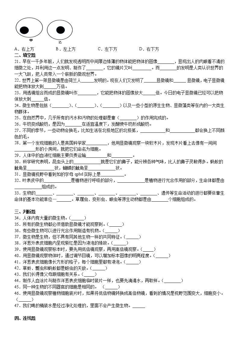 教科版六年级科学上册期中测试卷试题（含答案）03