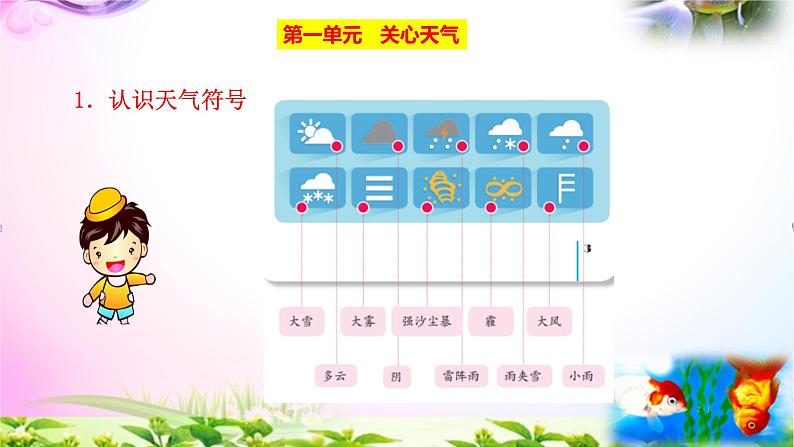 苏教版二年级上册《科学》期中-期末知识点汇总-重点知识梳理-总复习【最新版-精品】课件PPT03