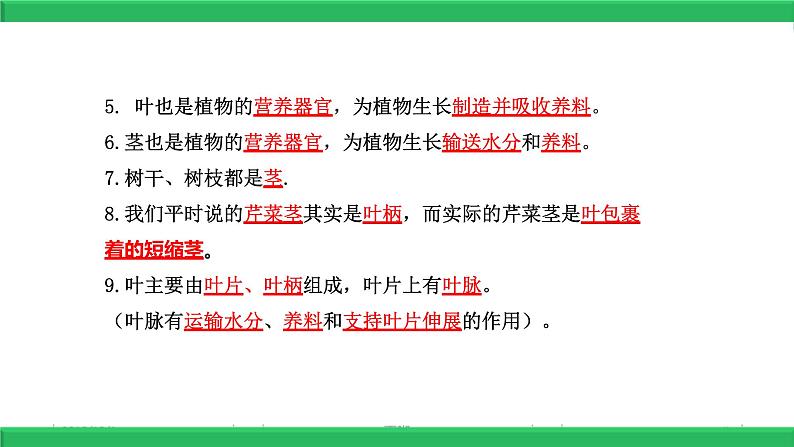 【2020新教材】苏教版三年级《科学》下册期末总复习背诵课件-知识点汇总【必背课件】07