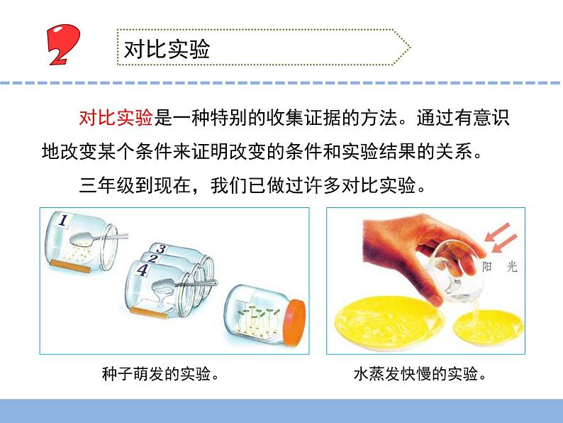 苏教版小学科学六年级上册5.2 .实验 课件07