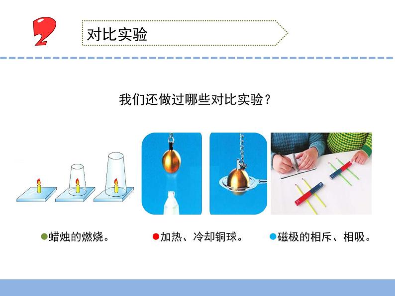 苏教版小学科学六年级上册5.2 .实验 课件08