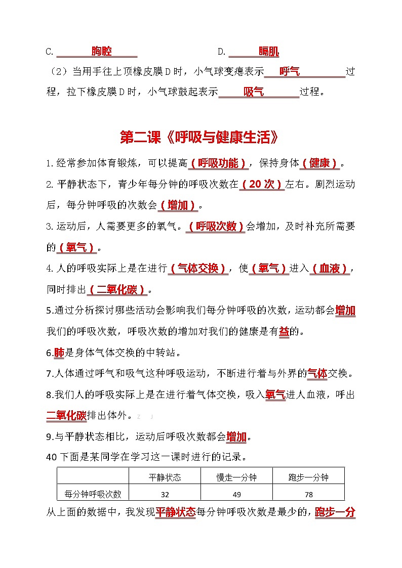 2020新教科版四年级科学上册第二单元知识点总结复习【按课编写】学案第2页