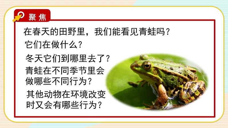 1.5《当环境改变了》课件（送教案）02